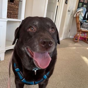 Meet your Posher, Maddy